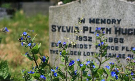 2 poemas de Sylvia Plath, la poeta que quería ser Dios