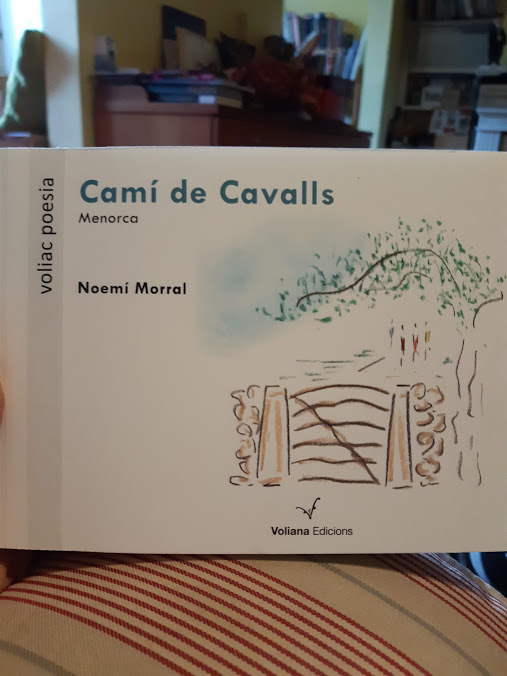 Camí de Cavalls, de Noemí Morral (Voliana Edicions, 2019)