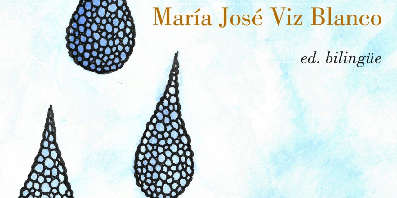 “Mar de chuvia seca” María José Viz Blanco (Editorial Neopatria. 2020)