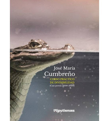 ‘Curso práctico de invisibilidad (Casi poesía 2000-2020)’ de José María Cumbreño (Ed. Liliputienses, 2020)
