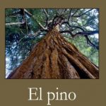 ‘El pino’, de José Luis Regojo (Ondina ediciones, 2023)
