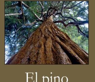 ‘El pino’, de José Luis Regojo (Ondina ediciones, 2023)