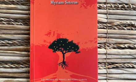 EN COMPAÑÍA (AÉREA) DE MYRIAM SOTERAS