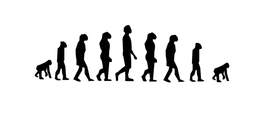 Espejo de monos alumbrados, de José Siles González. Ed. Vitruvio, 2025